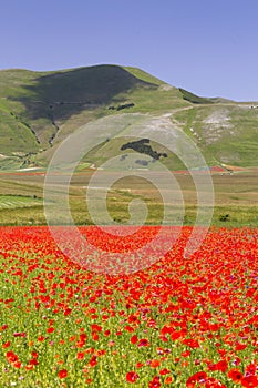 Beautiful italian landscape