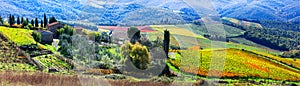 Beautiful Italy - autumn vineyards of Chianti - vine region of T