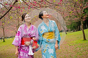 Beautiful japanese female students wearing kimono