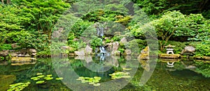 Beautiful Japanese Garden