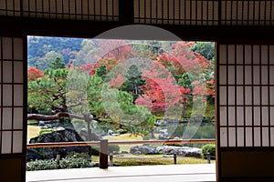 A beautiful Japanese garden with autumn colours seen from the back of a Japanese-style guest room.