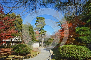 Beautiful Japanese garden in Byodoin Temple