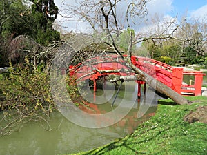 Beautiful Japanese garden in the city of Toulouse with lake and bridge