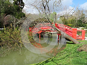 Beautiful Japanese garden in the city of Toulouse with lake and bridge photo