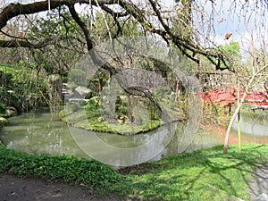 Beautiful Japanese garden in the city of Toulouse with lake and bridge photo