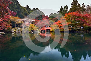 Beautiful japanese garden with colorful maple trees in autumn