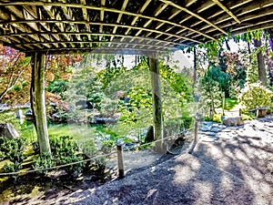 The beautiful Japanese Garden at Manito Park in Spokane, Washing