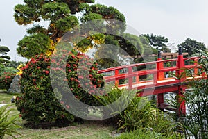 Beautiful Japanese Garden and red bridge.
