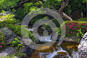Beautiful japanese garden with small waterfall