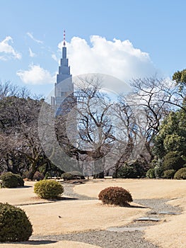 Beautiful Japanese park