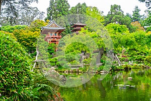 Beautiful Japanese Tea Garden in Golden Gate Park