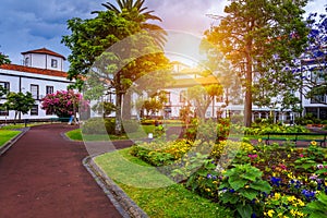 Beautiful Jardim Sena Freita, located in the historic center of Ponta Delgada city on Sao Miguel island. Azores, Sao Miguel,