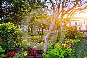 Beautiful Jardim Sena Freita, located in the historic center of Ponta Delgada city on Sao Miguel island. Azores, Sao Miguel,