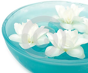 Beautiful Jasmine Flowers on Water in Bowl