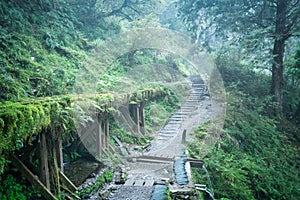 Beautiful Jianqing Jiancing historic trail, the forest railway of Taipingshan in Taiwan