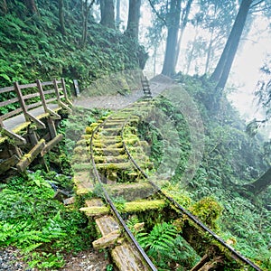 Beautiful Jianqing Jiancing historic trail, the forest railway of Taipingshan in Taiwan