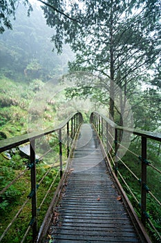 Beautiful Jianqing Jiancing historic trail, the forest railway of Taipingshan in Taiwan