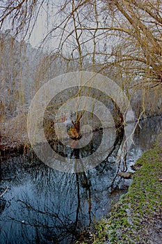 Beautiful Jihlava river