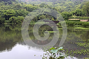 Beautiful jinghu ( quiet lake )