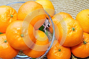 beautiful juicy mandarins in a vase on a table