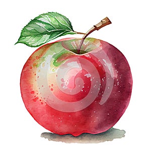 Beautiful ripe red apple isolated on white background. Watercolor illustration