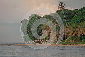 Beautiful jungle caribbean beach with nice surf close to Playa Cocles and Puerto Viejo in Costa rica. View towards the trees. hazy