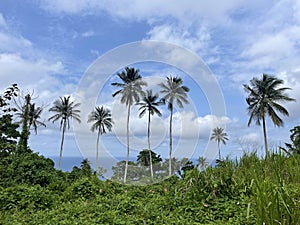 Panoramic View Principe Island from Terreiro Velho photo