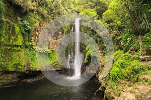 Beautiful Kaiate Falls in the Bay of Plenty, New Zealand