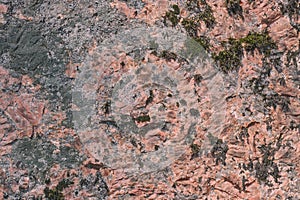 Beautiful karalovogo color stone with a creative seasoned lichen on a boulder texture - abstract background photo