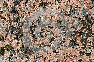Beautiful karalovogo color stone with a creative seasoned lichen on a boulder texture - abstract background photo