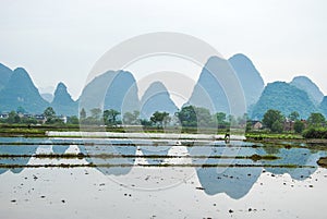 Beautiful Karst mountains and rural scenery in spring