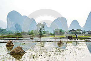 Beautiful Karst mountains and rural scenery in spring