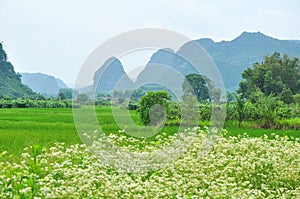 Beautiful karst rural scenery at Guilin, China