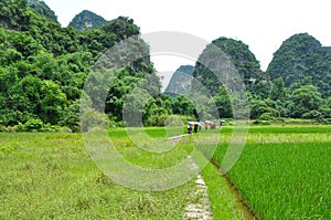 Beautiful karst rural scenery at Guilin, China