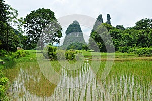 Beautiful karst rural scenery at Guilin, China