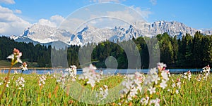 Beautiful karwendel mountains, lake Geroldsee and forest, rarely bogbean flowers in the front