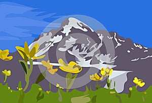 Beautiful Kazbek mountain with yellow flowers in the foreground.