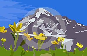 Beautiful Kazbek mountain with yellow flowers in the foreground.