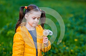 Beautiful kid girl with ponytails in a yellow jacket holds white fluffy dandelions and smiles