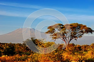 Beautiful Kilimanjaro mountain after sunrise in morning, Kenya, Africa