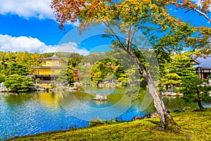 Beautiful Kinkakuji temple with golden pavillion in Kyoto japan