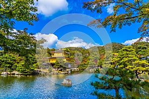 Beautiful Kinkakuji temple with golden pavillion in Kyoto japan