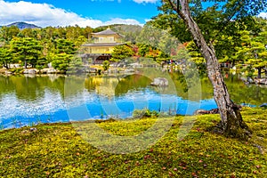 Beautiful Kinkakuji temple with golden pavillion in Kyoto japan