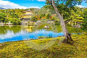 Beautiful Kinkakuji temple with golden pavillion in Kyoto japan