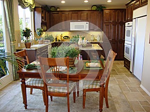 Beautiful Kitchen and Dining Room