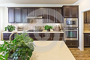 Beautiful Kitchen Interior with Dark Cabinets