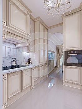 Beautiful kitchen interior in new luxury home with and view of l