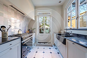 Beautiful kitchen with a lot of sunny windows