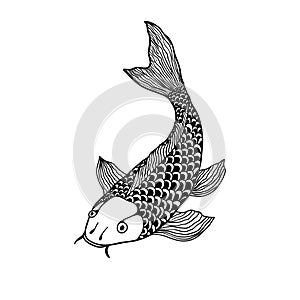 Beautiful koi carp fish illustration in monochrome. Symbol of love, friendship and prosperity