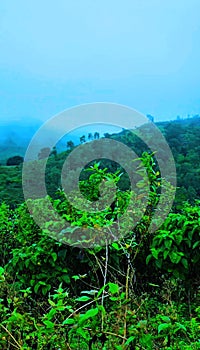 Beautiful Koraput salur ghati